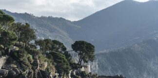 Ile kosztuje rosyjski śmigłowiec?