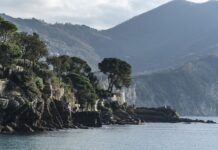 Ile kosztuje Nissan z salonu?