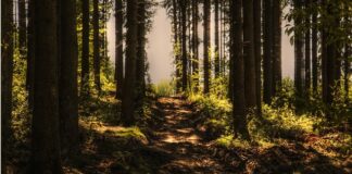 Jaki czas nagrywania w pętli?