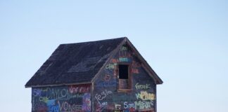 Z której strony faza w gniazdku 230v?