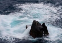 Jaka jest cena nowego Nissana Juke?