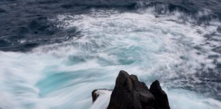 Jaka jest cena nowego Nissana Juke?