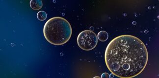 Ile wchodzi oleju do silnika Nissan Juke?