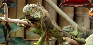 Dlaczego najpierw odpinamy minus?