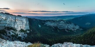 Co na pierwsze auto do 5 tys?