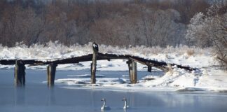 Jaki przekrój przewodu do silnika 11 kW?