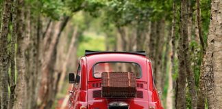 Jaki silnik Fiat Freemont?