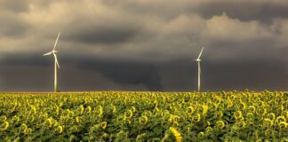 W jakiej kolejności podłączyć kable rozruchowe?