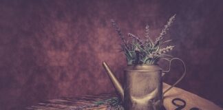 Jaka Smarownica ręczna?