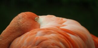 Co pierwsze odłączyć plus czy minus?