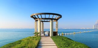 Czy 1.5 dCi ma AdBlue?