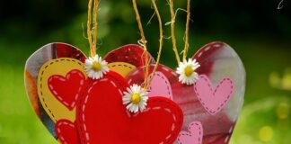 Jak sprawdzić który to przewód fazowy?