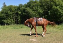 Jak zamontować lampki na tarasie?