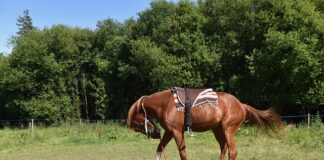 Jak zamontować lampki na tarasie?