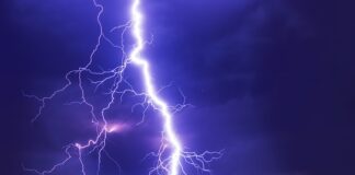 Jaki wpływ ma światło na rozwój roślin?