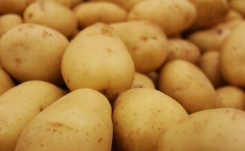Jak naostrzyć piłę? Jak naostrzyć piłę?