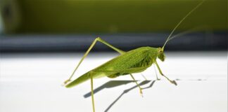 Jak dobrać ościeżnicę do otworu?