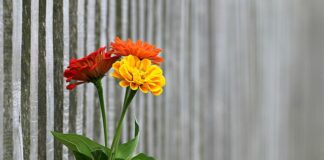 Jak oświetlić ogrodzenie?