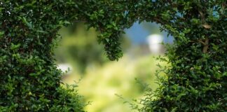 Czym oświetlić ogród?