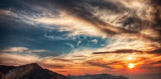 Ile godzin światła dla marihuany?