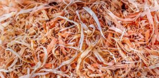 Jaki pilnik do łańcucha Stihl?