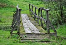 Do czego służy mostek Hue?