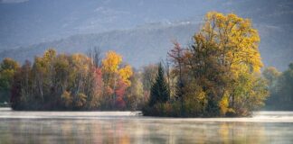 Jak zrobić otwory w gresie?