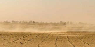 Jaką barwę ma światło dzienne?