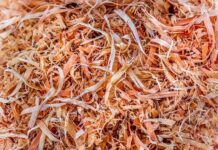 Jaki pilnik do ostrzenia łańcucha 3 8p STIHL?