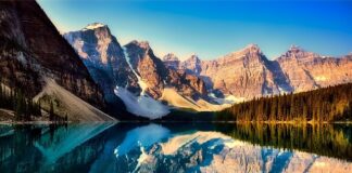 Czy łańcuchy widiowe się ostrzy?