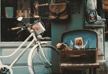 Czy sklep Żabka jest polski?