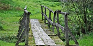 Czy mostek Hue jest potrzebny?