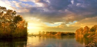 Jakie kolory można łączyć z szarym?