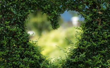 Jak podświetlić ogród?