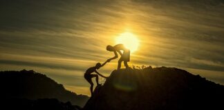 Co ma wpływ na wzrost roślin?