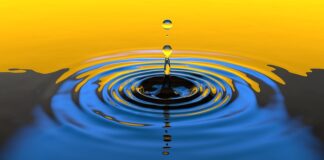 Jaką długość fali dla roślin?