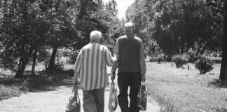 Jak dobrać długość lampki na choinkę?