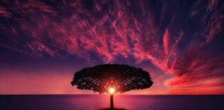 Czym zastąpić brak słońca?