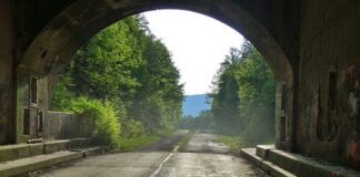 Jak sadzić Rogatka w oczku wodnym?