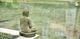 Czym zalać instalację co na zimę?