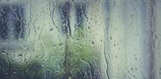 Co można zrobić z korkami po winie?