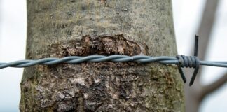 Jak naostrzyć łańcuch pełne dłuto?